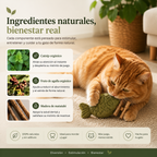 Pez Molar – Juguete Interactivo para Gatos